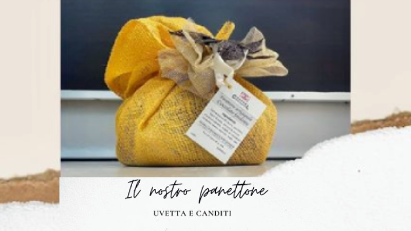 Dicembre offerta speciale: Panettone